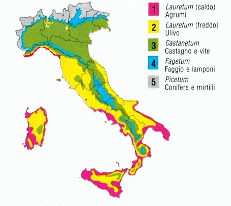 zoneitaliane.jpg