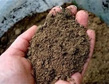 terreno sabbioso