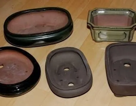 vasi per bonsai