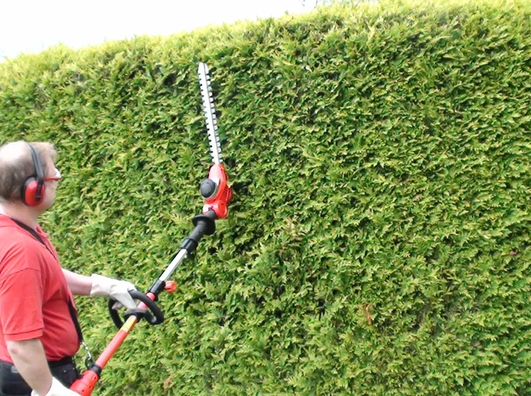 Tagliasiepi Alpina