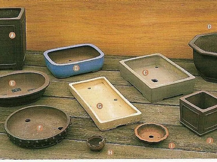 vasi per bonsai