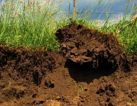 terreno