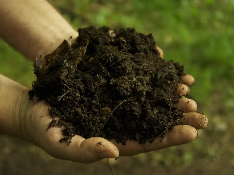 Tipologia concime organico
