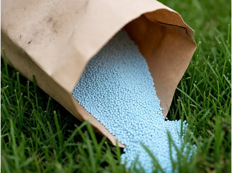 Coltivazioni fertilizzanti