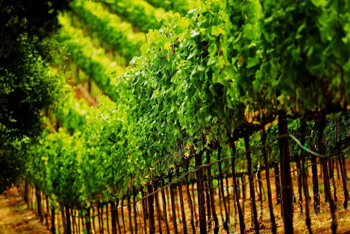 mosaico giallo
