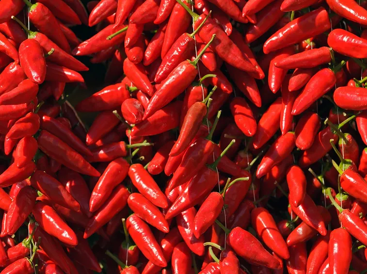 peperoncino calabrese