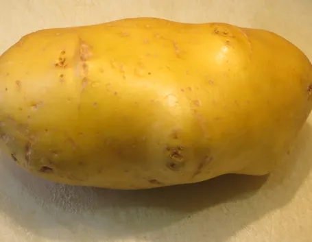 Patata