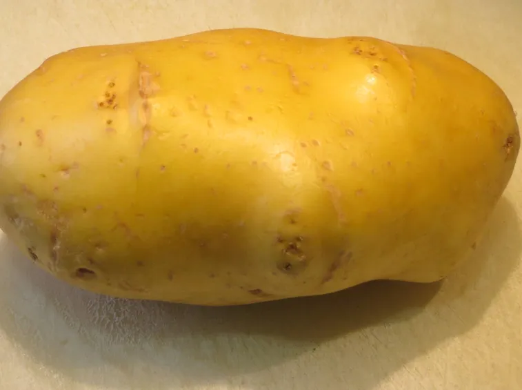 Patata
