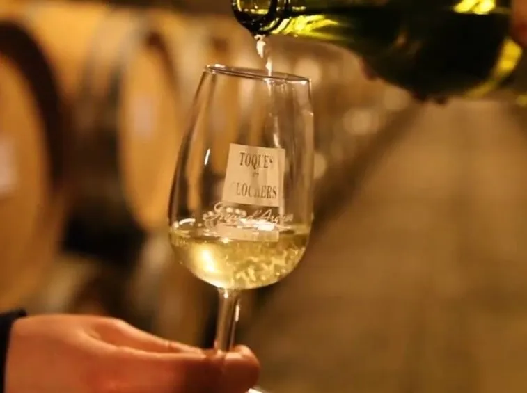 brinidisi in una cantina francese