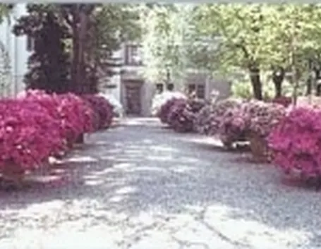 piante