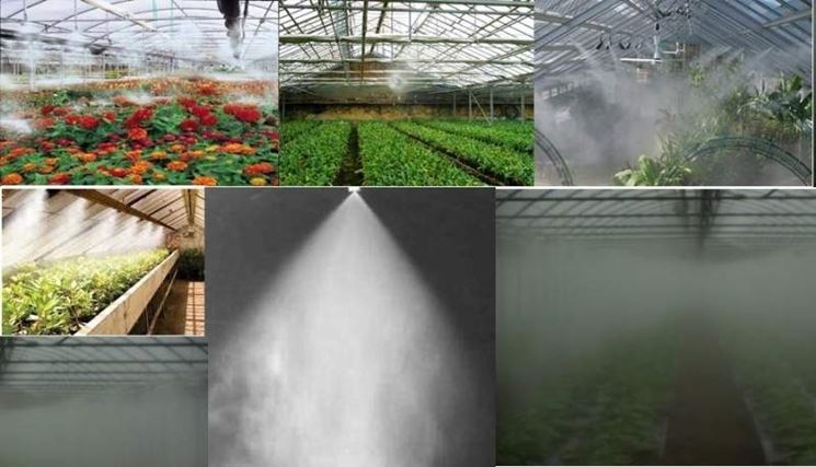 Nebulizzatore - Irrigazione - Tipologie e differenze dei nebulizzatori