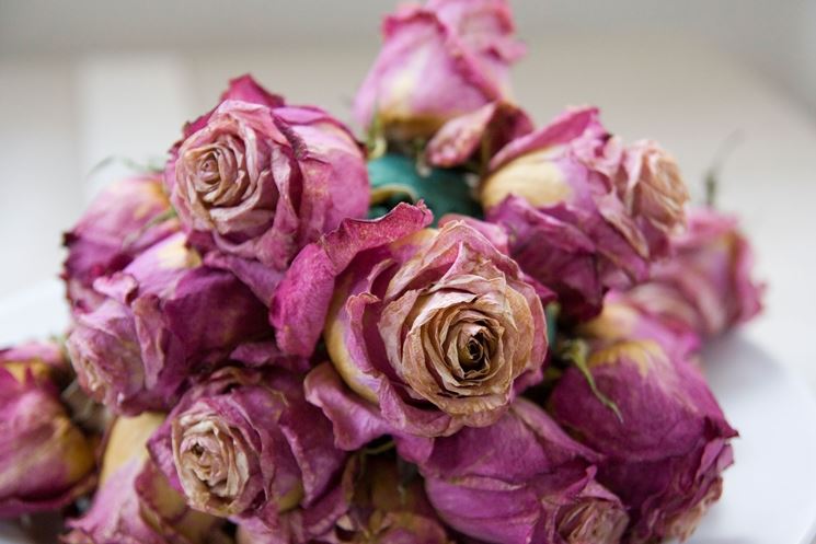 Fermacapelli di fiori secchi di Oui Fleurs - ordina online su Cosaporto