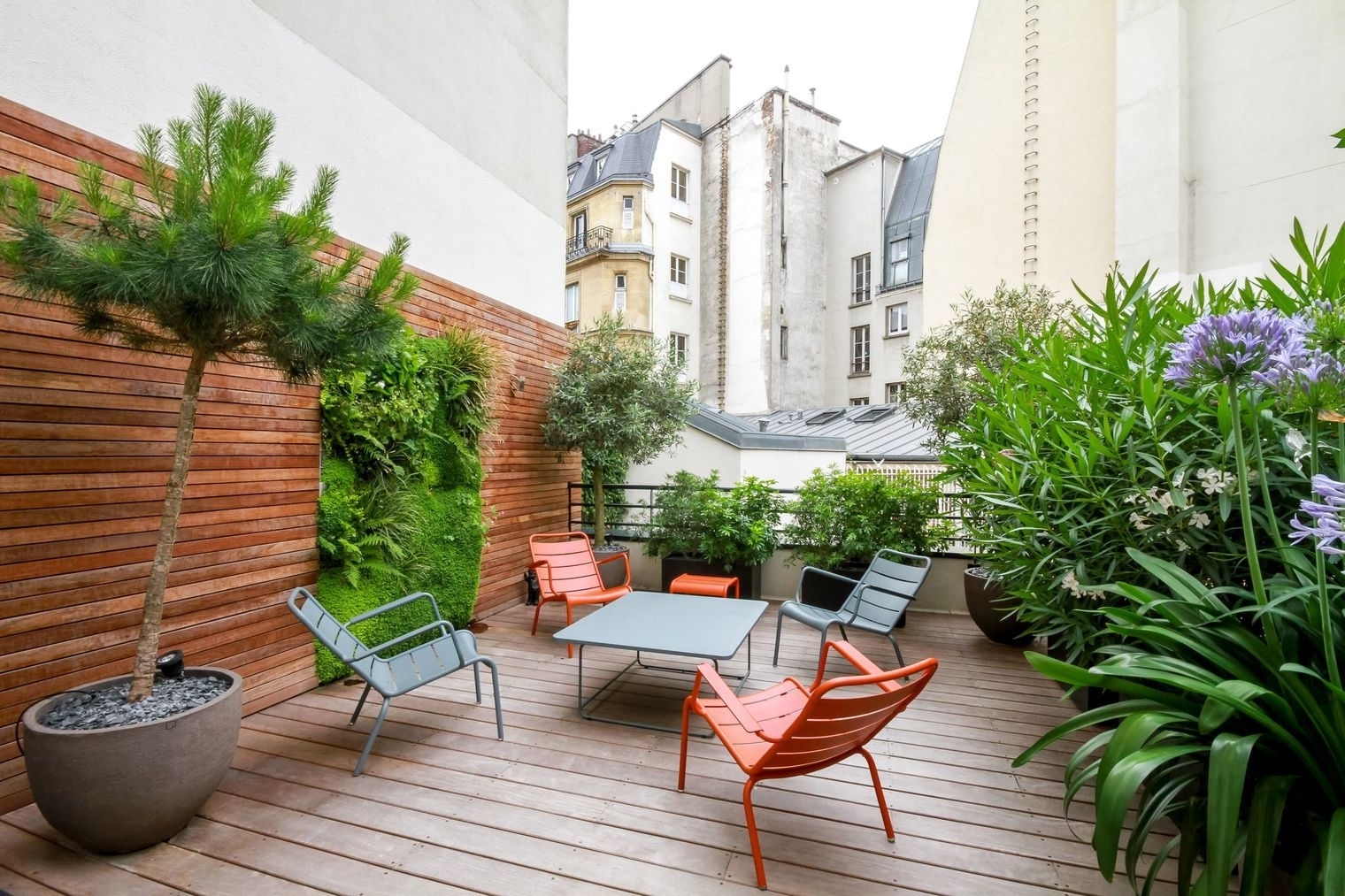 piante da esterno per terrazzi e balconi