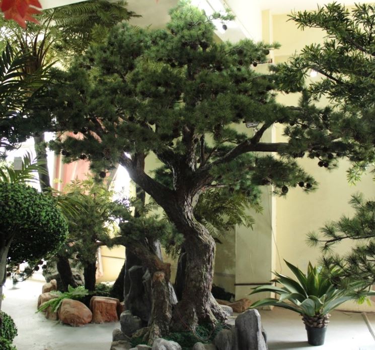 Albero bonsai artificiale - Piante finte piante ornamentali in plastica